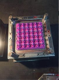 Niestandardowa maszyna do formowania wtryskowego energooszczędnego plastikowego pojemnika na jajka
